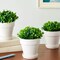 3 Pack Mini Fake Plants in Pots for Indoor and Outdoor Home Greenery Decor